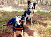 Hoby & Madagan at Woodhill Forest - taken by Siobhan Bailey