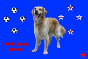 flag_soccer_balls.jpg