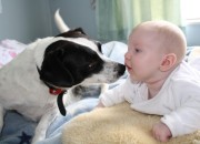 Dog and Baby taken by Janine Bradley